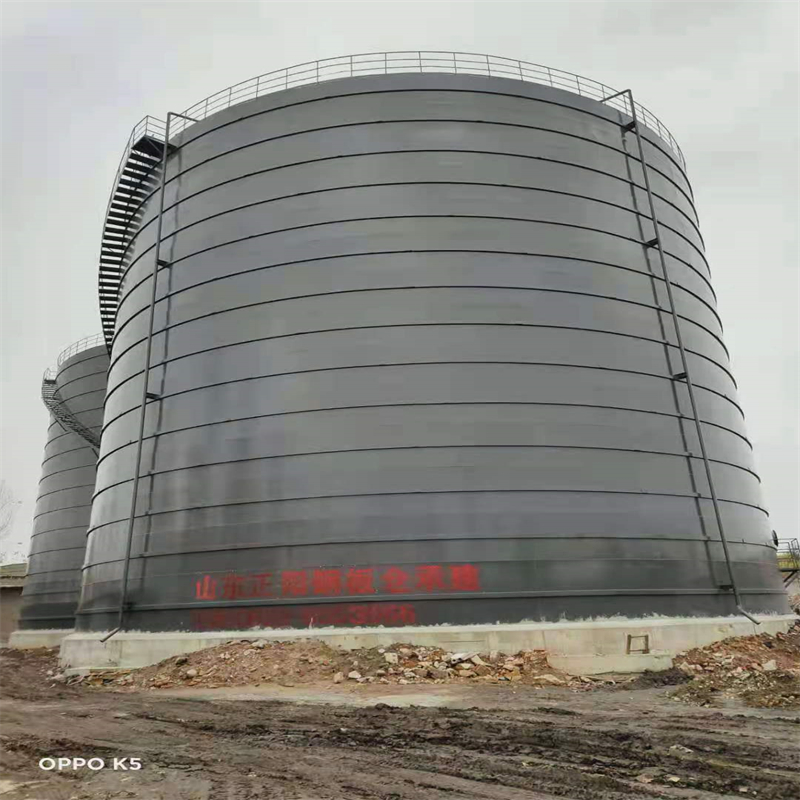 武城3万吨大型钢板库