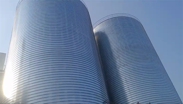 武城2座混凝土高架卷板仓